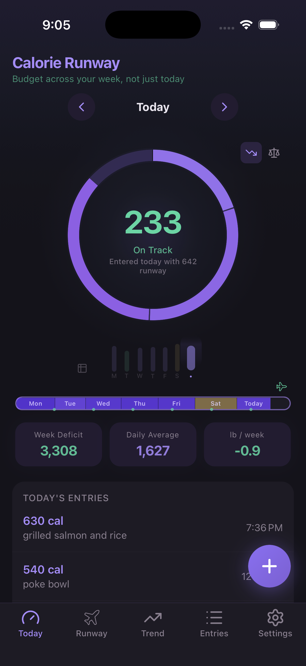 Calorie Runway today screen showing the runway ring at 233 calories remaining, on track